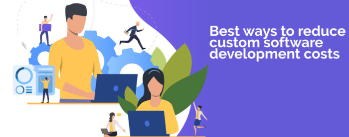 Best ways to reduce custom software development costs